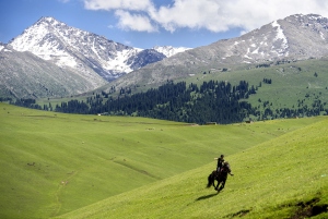Una aldea asi&aacute;tica transform&oacute; su econom&iacute;a rural con lavanda y turismo comunitario