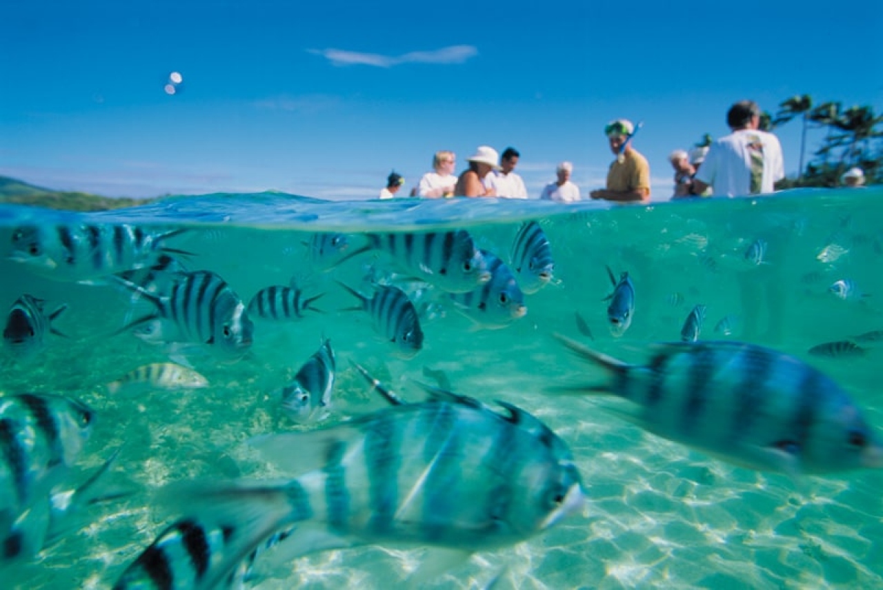 Fiji fue sede del South Pacific Tourism Exchange 2025