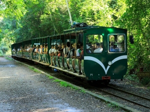 Misiones organizar&aacute; el congreso ferroviario m&aacute;s importante de Latinoam&eacute;rica