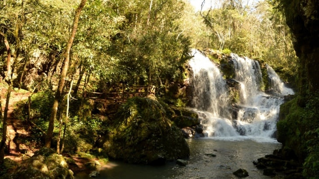 Am&eacute;rica Latina debe transformar el turismo en un motor de conservaci&oacute;n ambiental