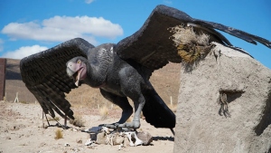 R&iacute;o Negro inaugur&oacute; el Paleoparque de Comallo