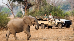 Zambia es uno de los destinos más auténticos y salvajes del turismo africano